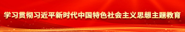 美国美女日逼视频学习贯彻习近平新时代中国特色社会主义思想主题教育